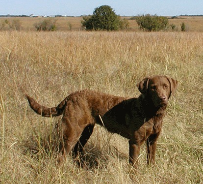 Hannah in Oklahoma