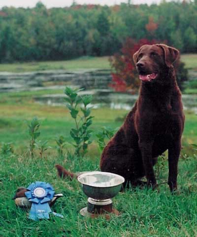 Cato, son of Rudy, with his Derby win awards