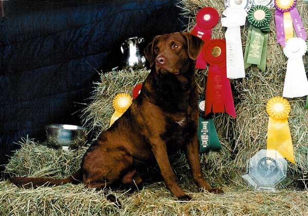 Rudy with more of his hardware