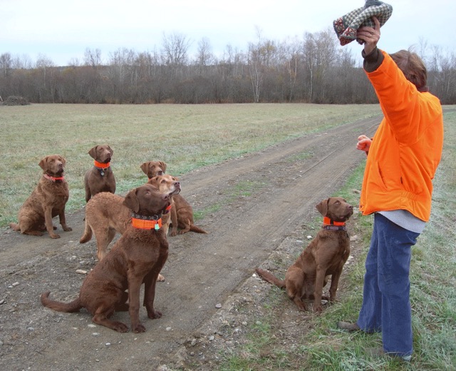 Nov 2007: Hunting season in Maine (Paladin, Mackenzie, Abe, Lola, Katie and Hannah) 