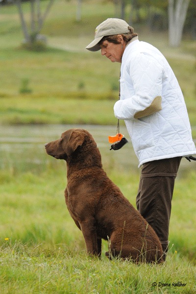 Paladin and Wendy
(photo Donna Kelliher)