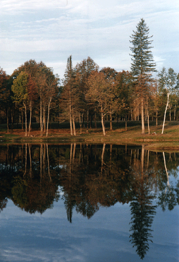 Stacks Image 55