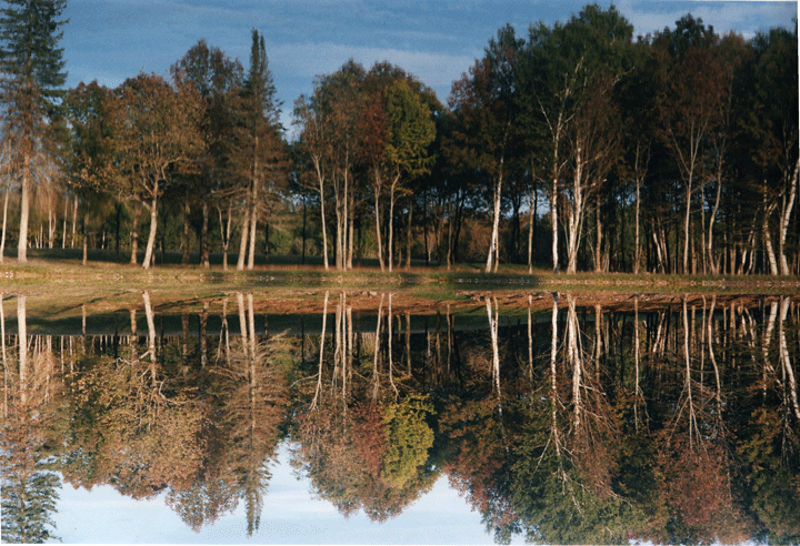 Stacks Image 64
